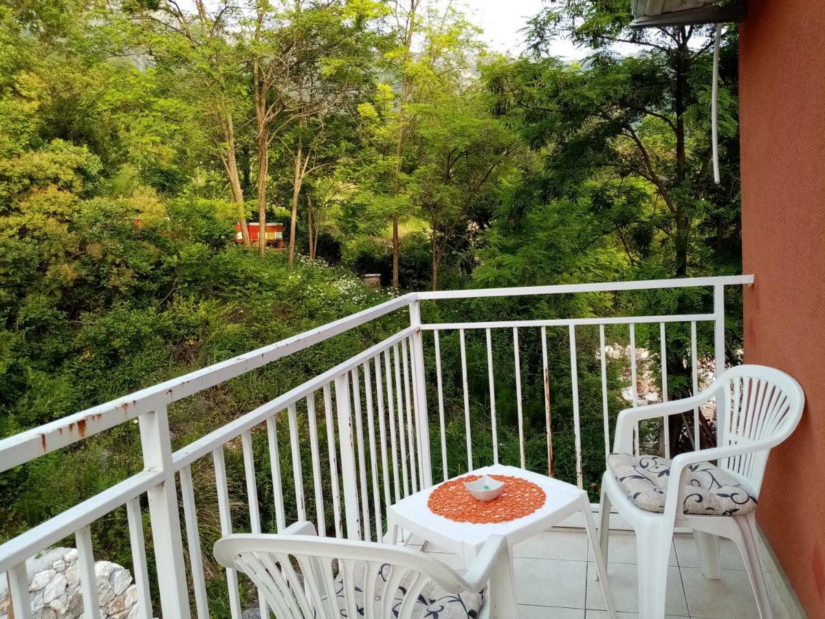Apartman Vesna Virpazar Exterior foto