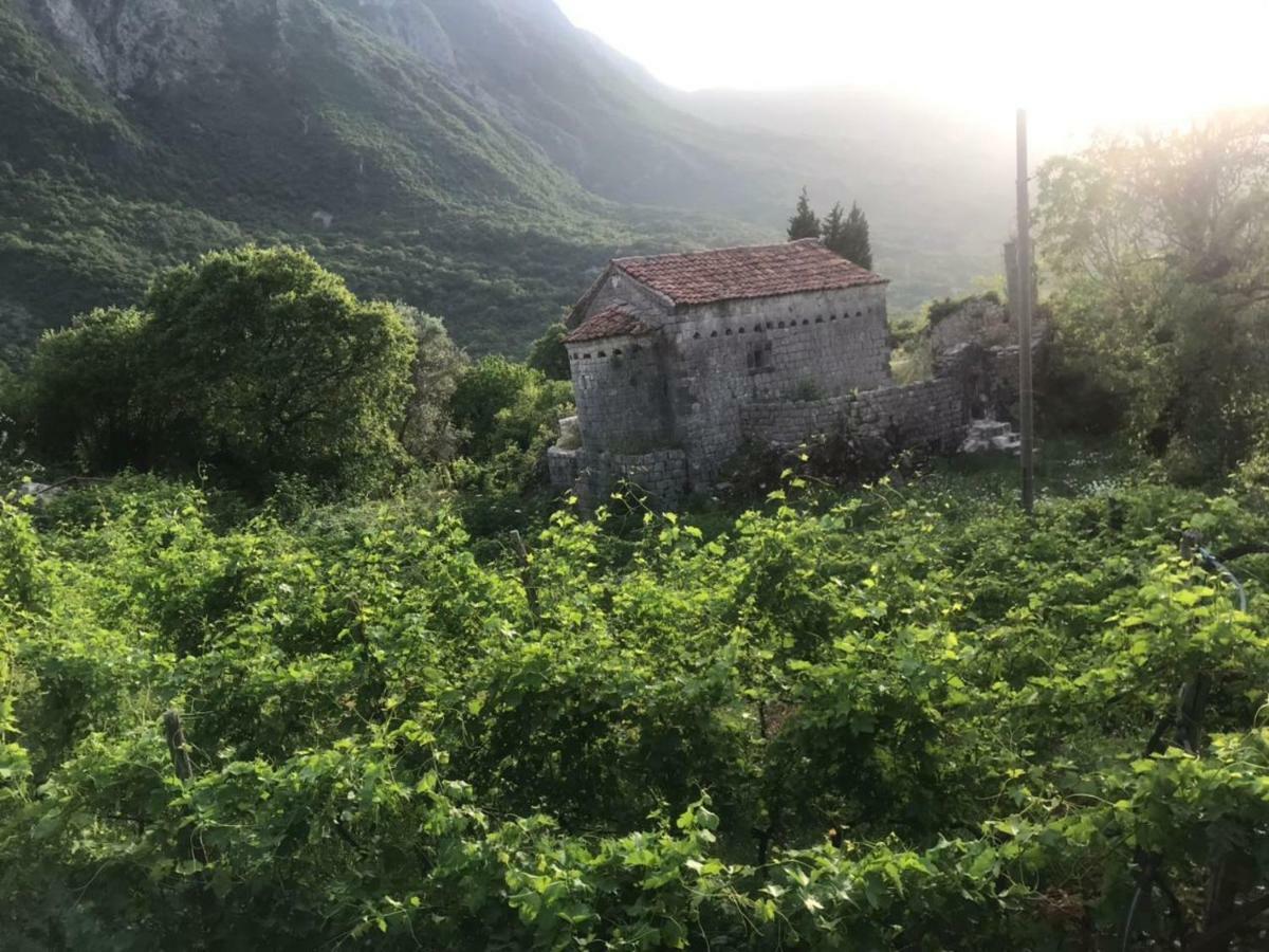 Apartman Vesna Virpazar Exterior foto